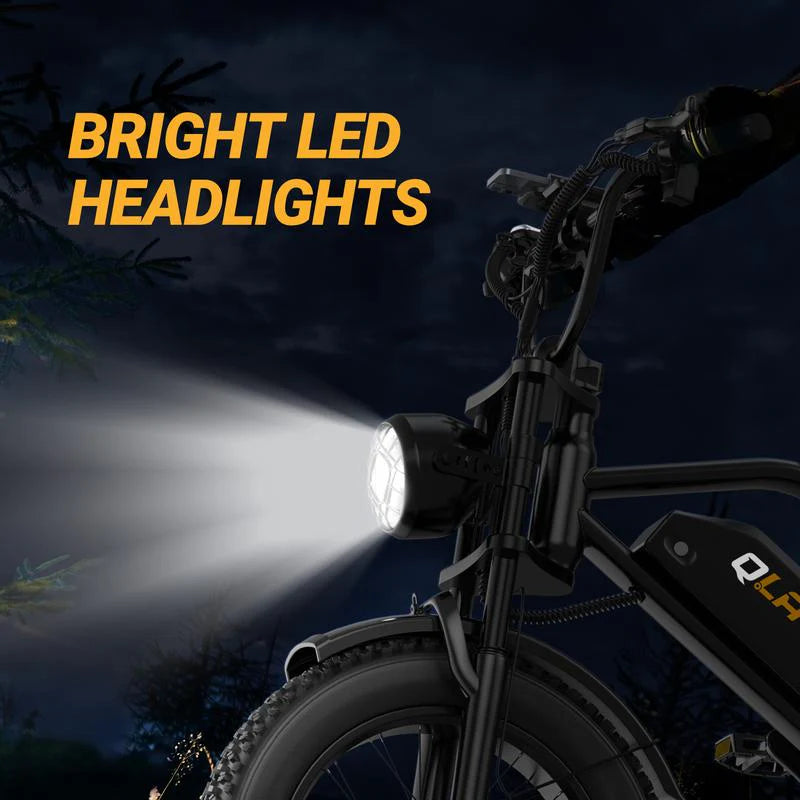 TrailX 750 — Fat Tire Electric Bike
